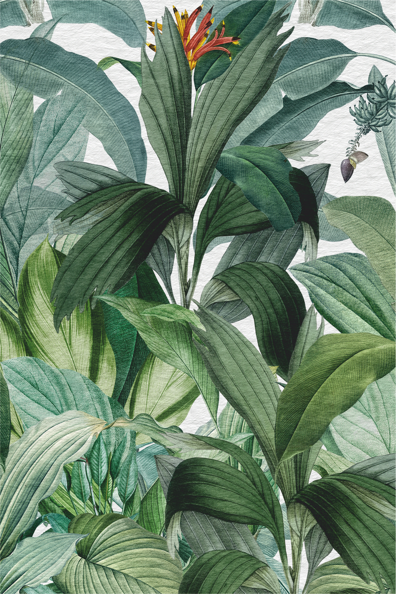 Ar0020_2
