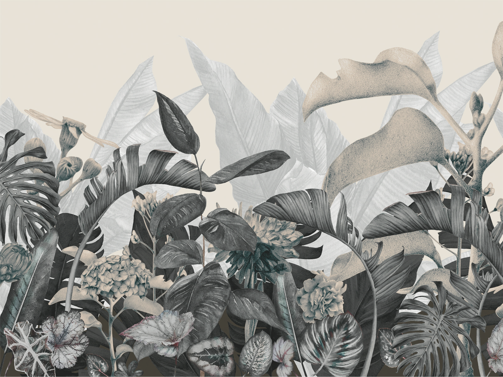 Ar0014_1