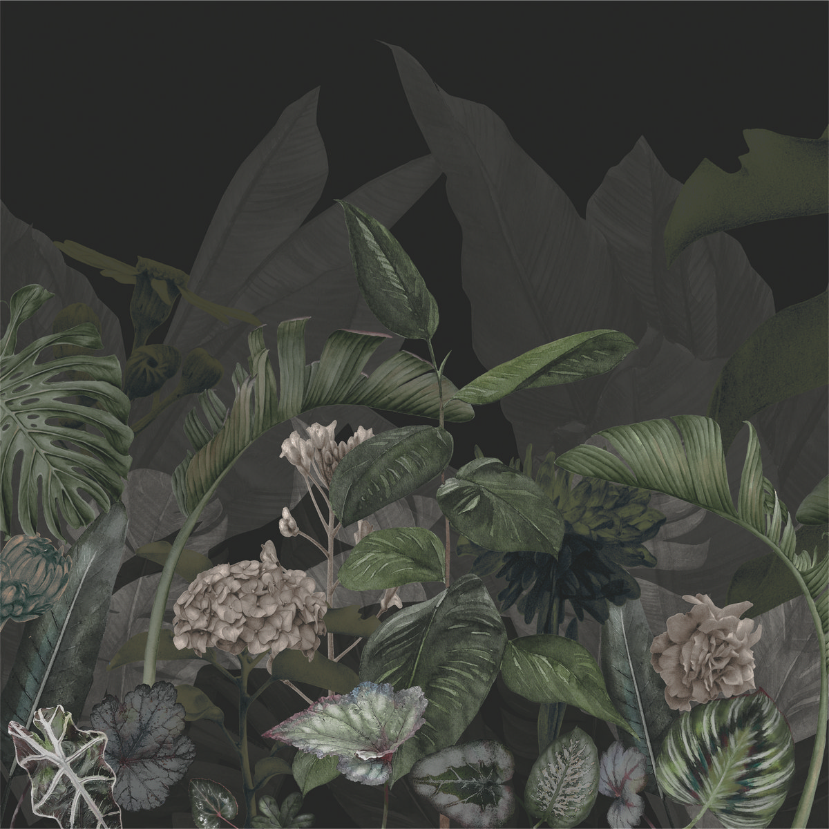 Ar0015_5