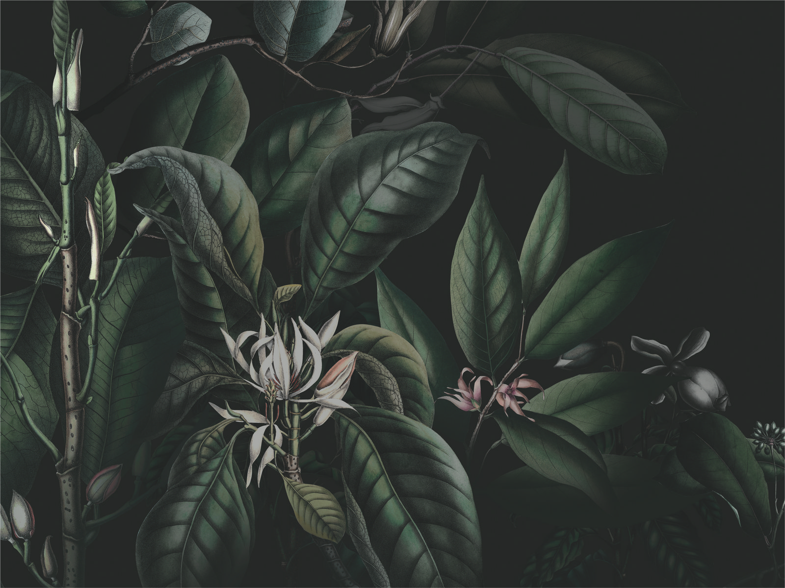 Ar0017_4
