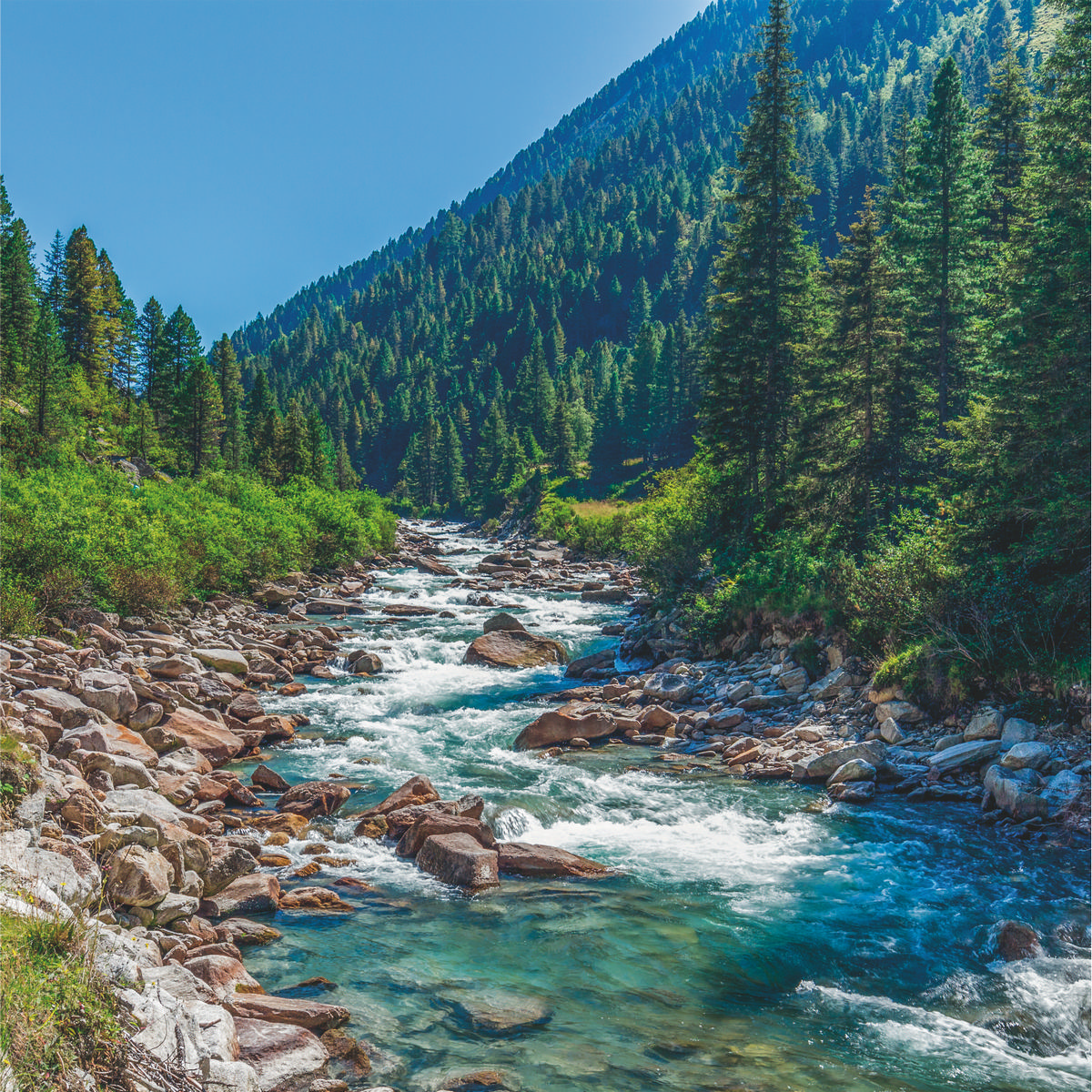 R1244