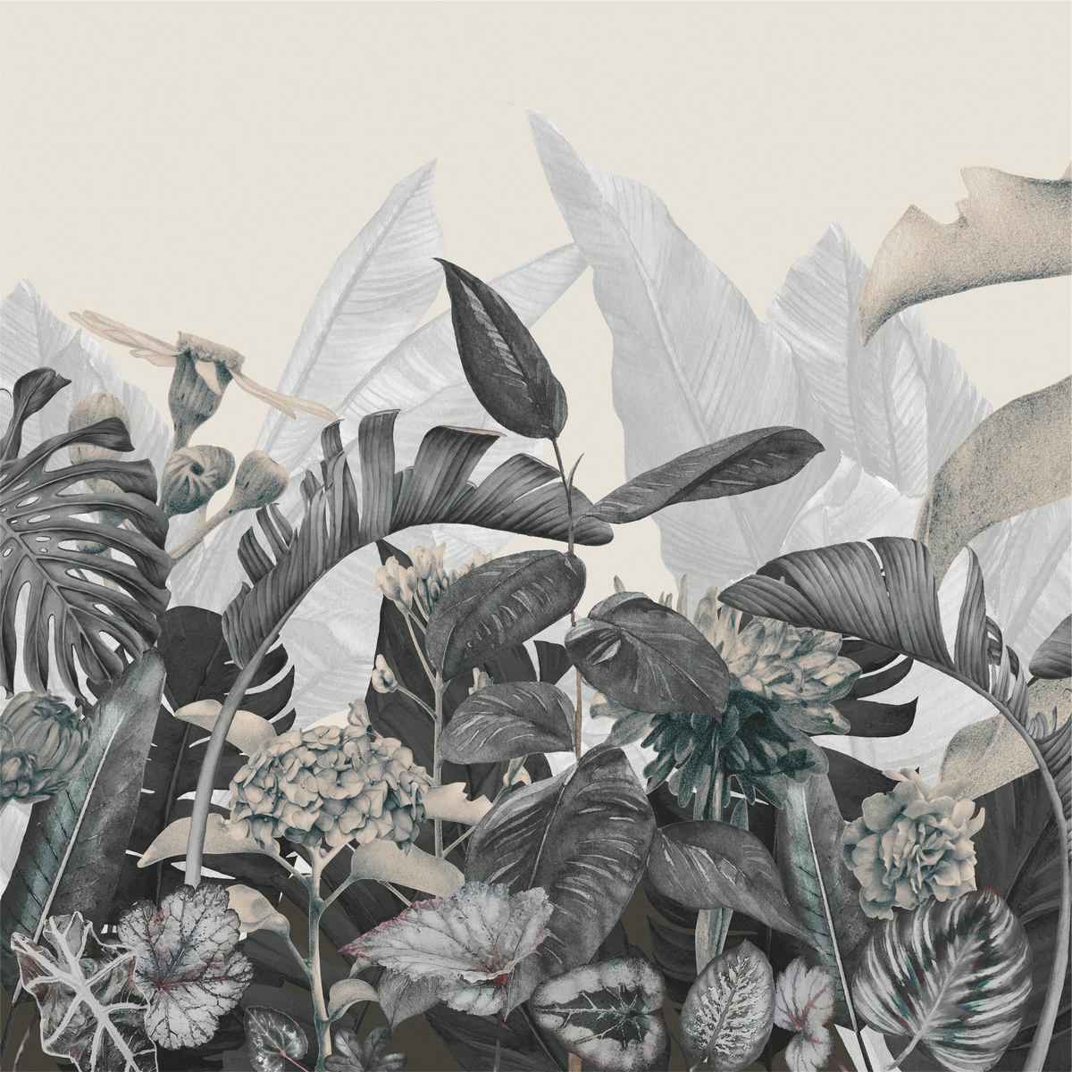 Ar0015_1